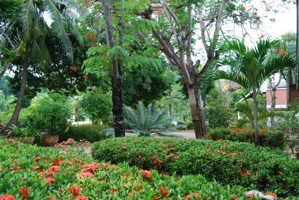 Rose Garden Samui Bungalows Lamai Exteriér fotografie
